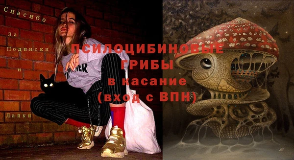 твердый Богородицк
