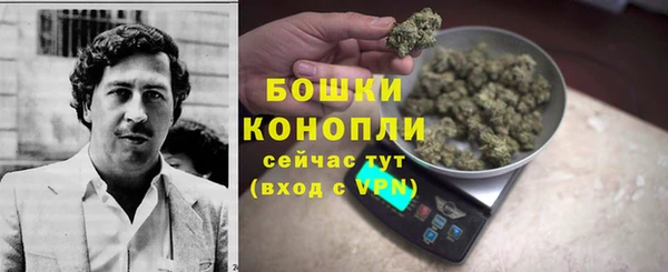 мескалин Богданович