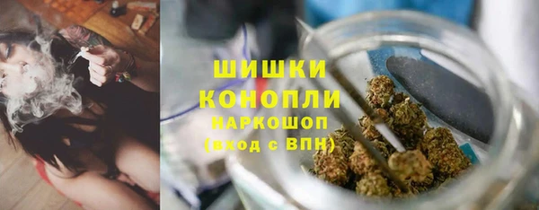 твердый Богородицк