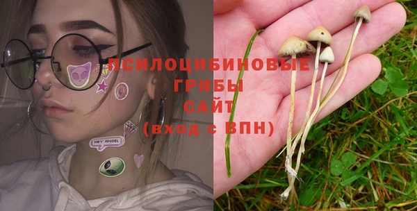 твердый Богородицк