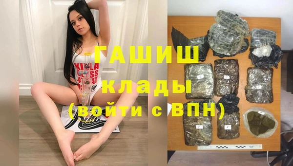 хмурый Верея