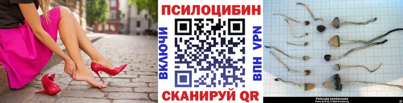 Галлюциногенные грибы ЛСД  Великий Устюг 