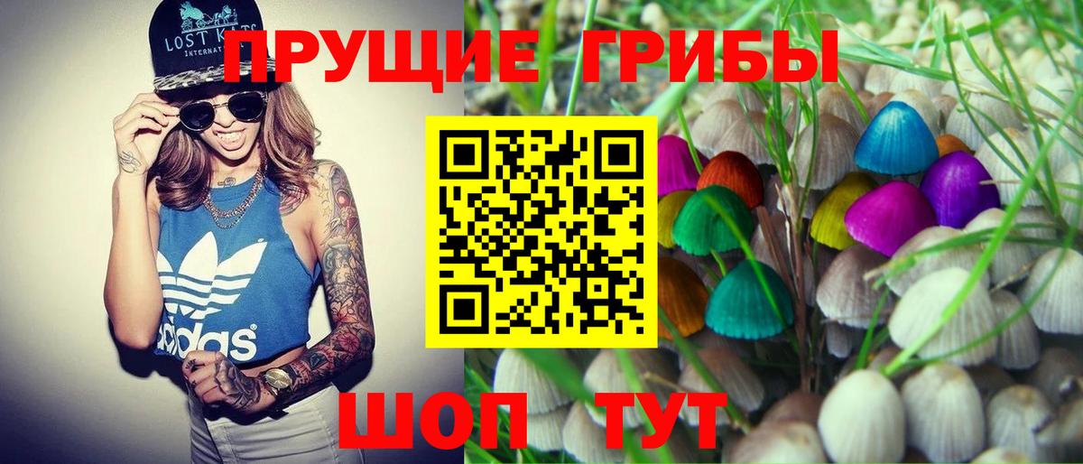 Псилоцибиновые грибы мицелий  Вход с VPN  Великий Устюг 
