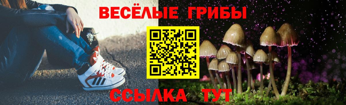 Галлюциногенные грибы ЛСД Великий Устюг